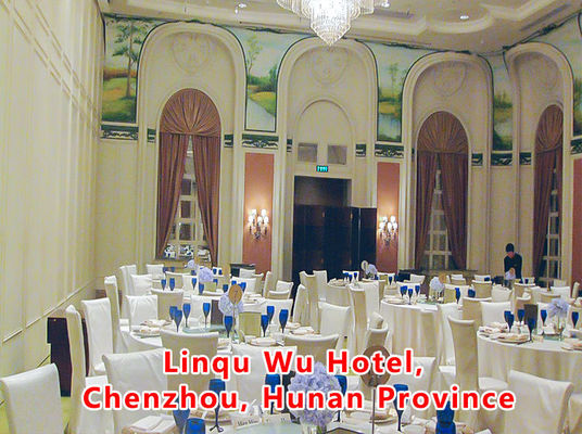 Giá tốt. Aluminum Wooden Movable Partition Wall with 304 Stainless Steel Rollers and 6061-T6 Profile for Office Room trực tuyến